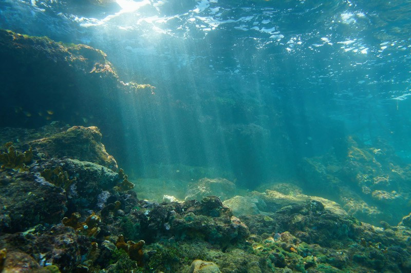 Gibraltar Underwater sunbeams Image