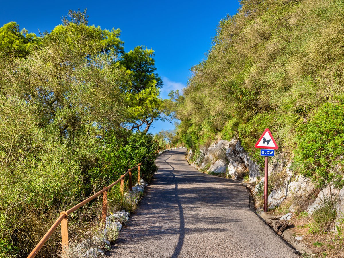 Image of the Road of Rock of Gibraltar Nature Reserve